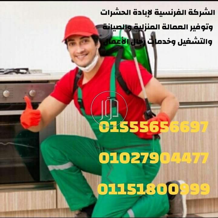 صور خدمات منزلية في القاهرة - دوّر.كوم