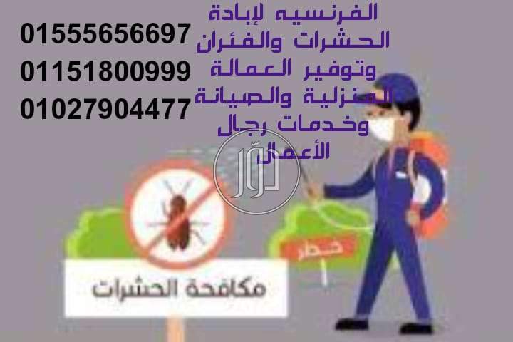 صور خدمات منزلية في القاهرة - دوّر.كوم