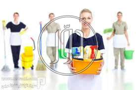 صور خدمات منزلية في الدقهلية - دوّر.كوم