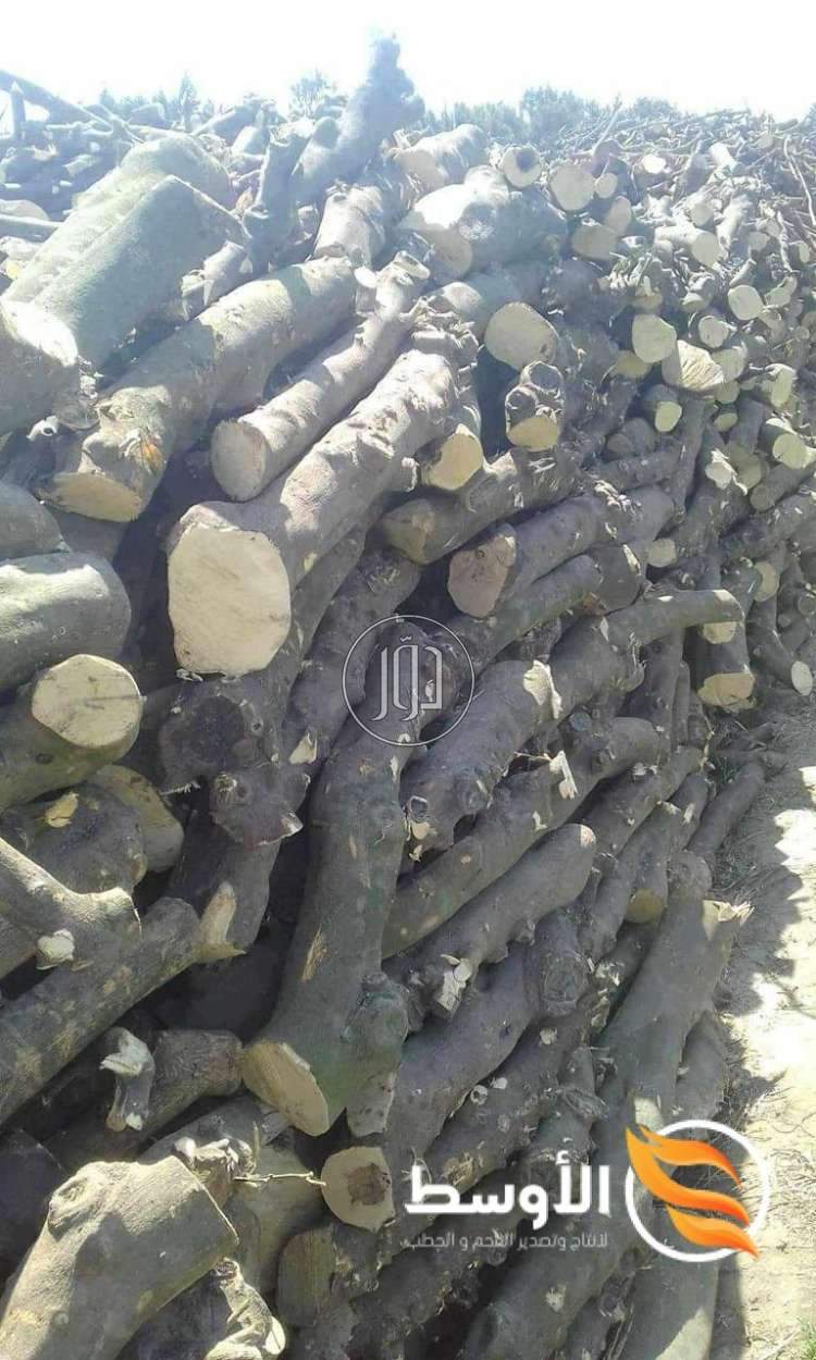 صور خطوط انتاج للبيع في الإسماعيلية - دوّر.كوم