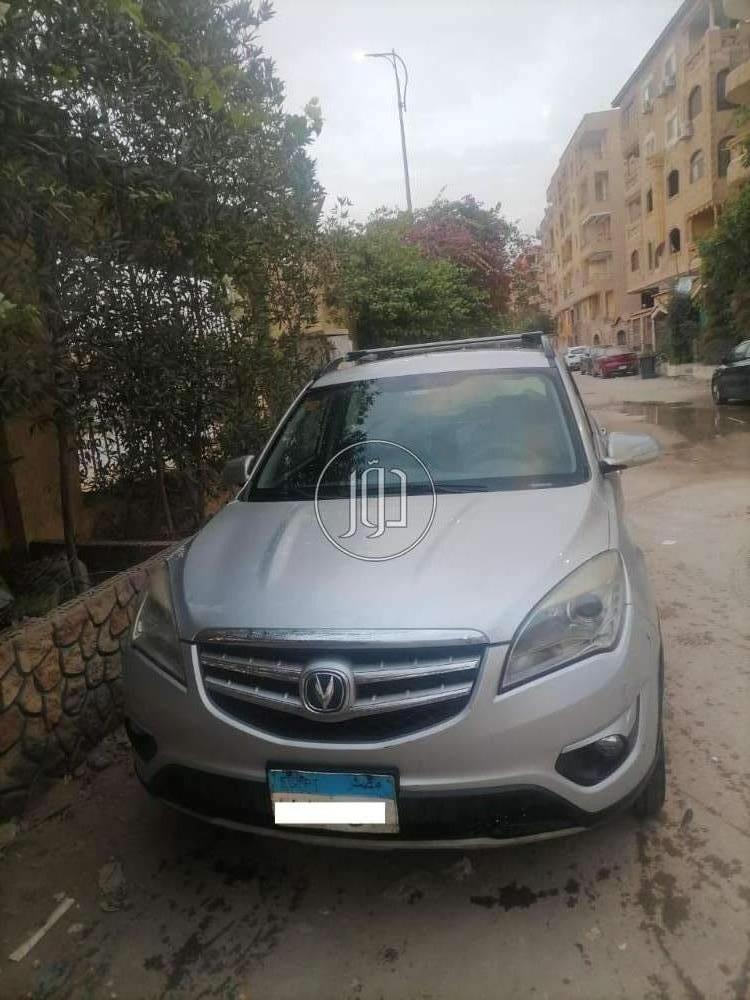 شانجان في مصر - دوّر.كوم