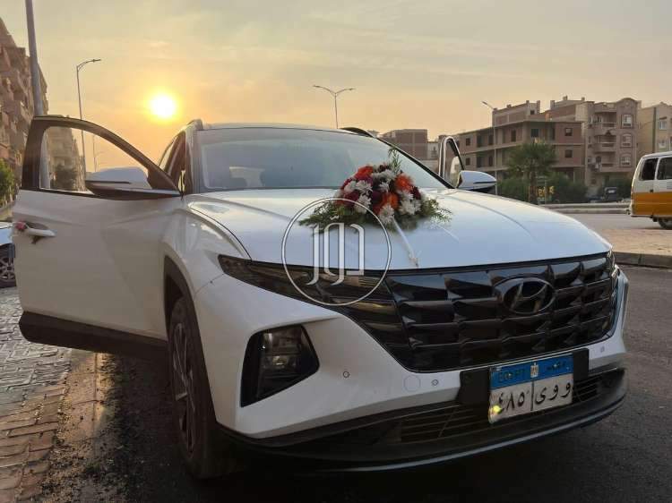 صور سيارات للايجار في القاهرة - دوّر.كوم