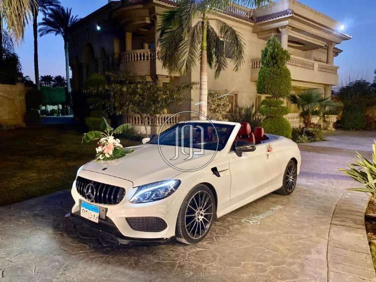 صور خدمات زفاف واعراس في مصر - دوّر.كوم