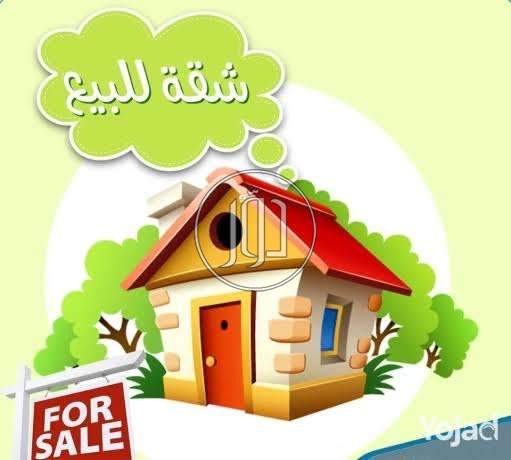 صور شقق للبيع في الإسكندرية - دوّر.كوم