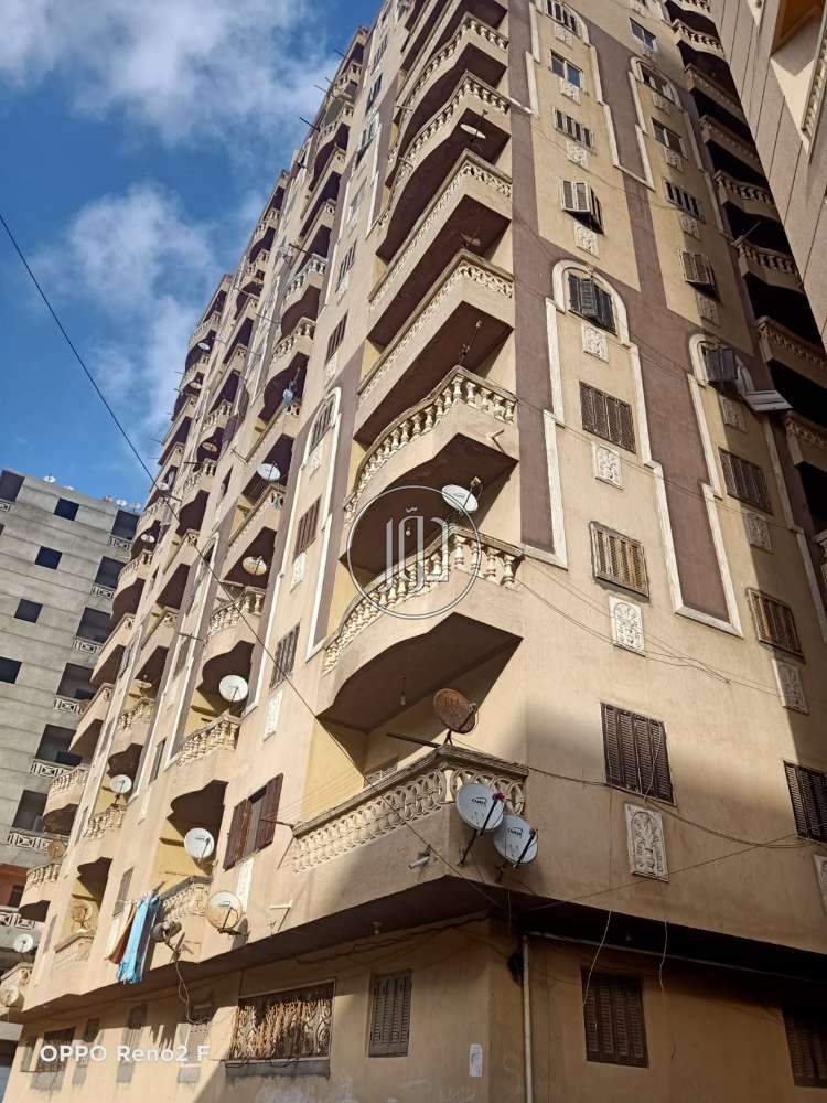 صور شقق للبيع في الإسكندرية - دوّر.كوم