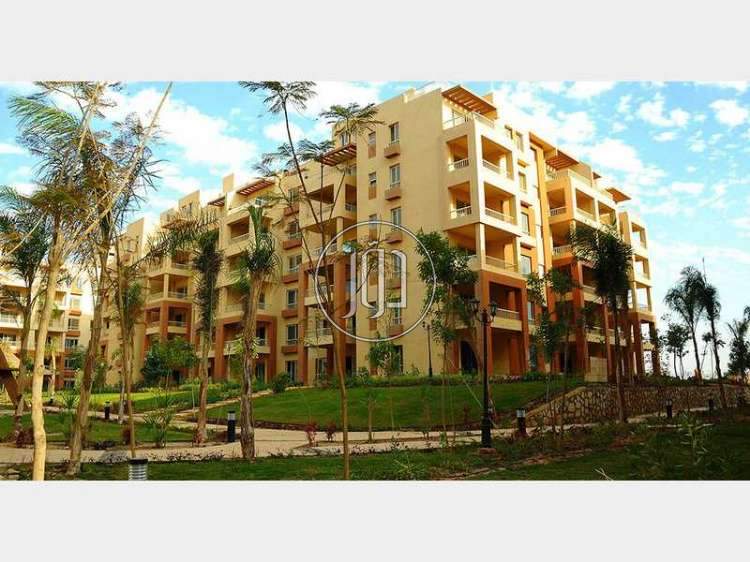 صور شقق مفروشة للايجار في الجيزة - دوّر.كوم