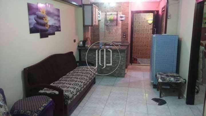 صور شقق مفروشة للايجار في الإسكندرية - دوّر.كوم