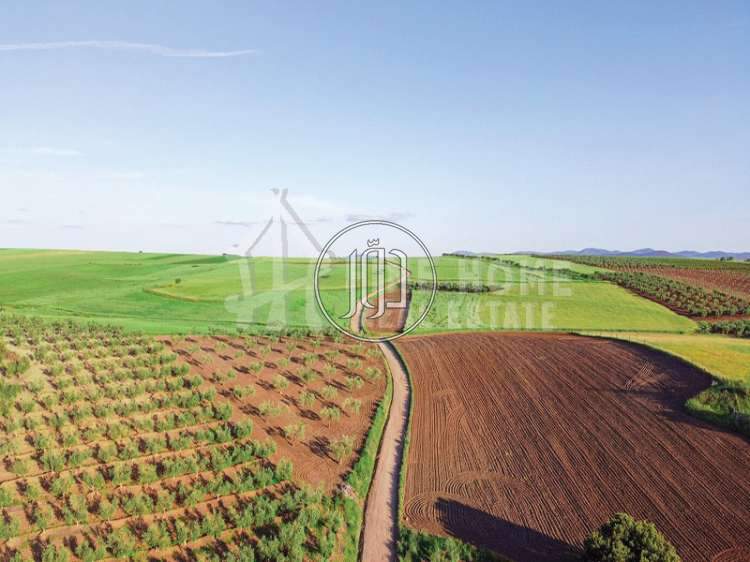 صور فيلا للبيع في أبو ظبي - دوّر.كوم