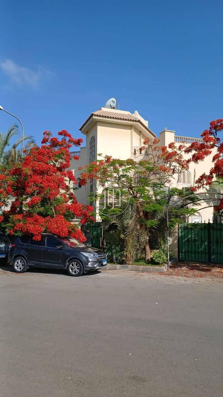 صور فيلا للبيع في القاهرة - دوّر.كوم