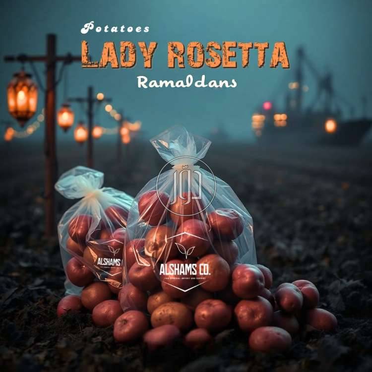 صور محاصيل وبذور زراعية في الامارات - دوّر.كوم