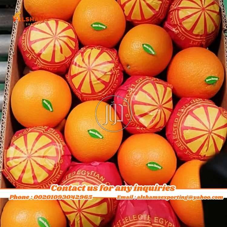 صور محاصيل وبذور زراعية في الامارات - دوّر.كوم