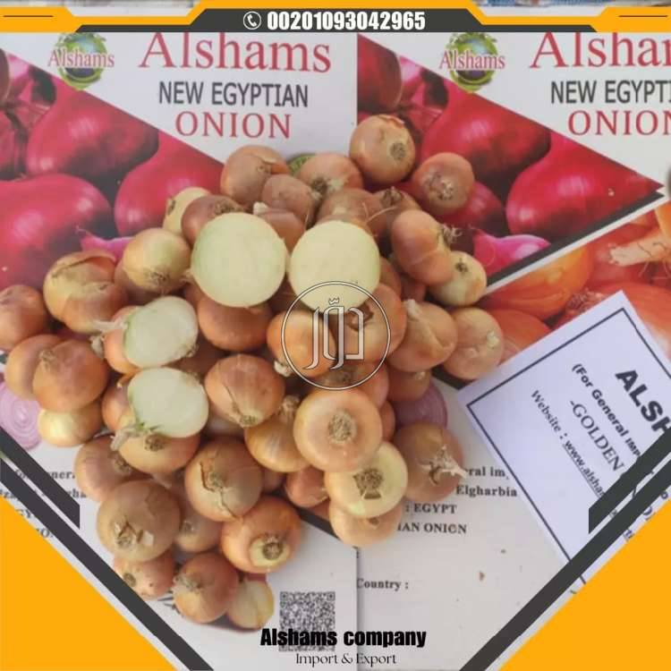 صور محاصيل وبذور زراعية في الامارات - دوّر.كوم