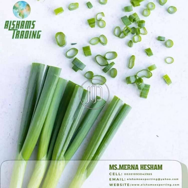 صور محاصيل وبذور زراعية في الامارات - دوّر.كوم