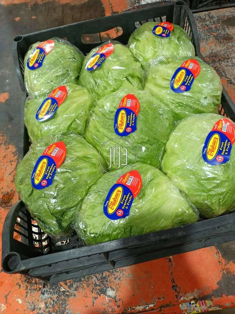 صور محاصيل وبذور زراعية في الامارات - دوّر.كوم