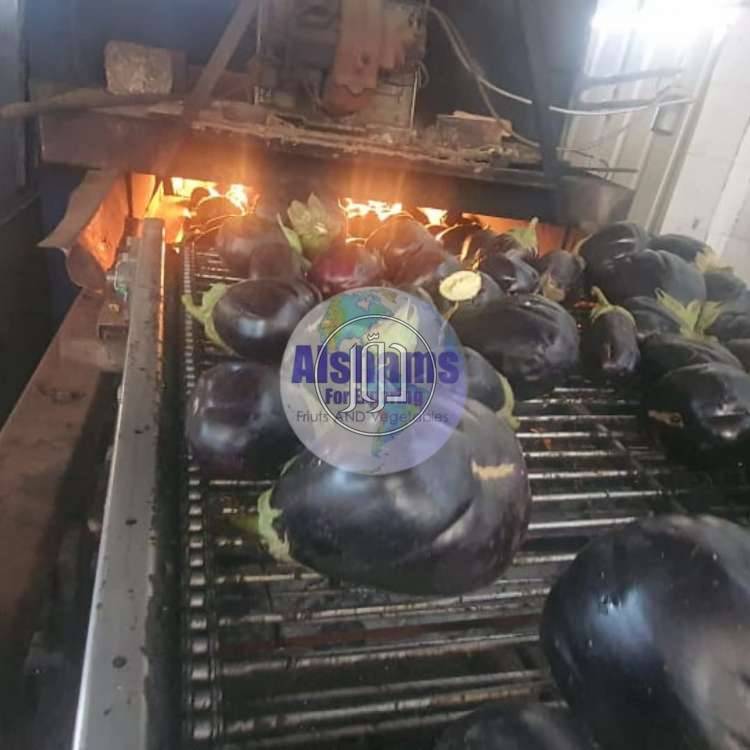 صور محاصيل وبذور زراعية في الامارات - دوّر.كوم