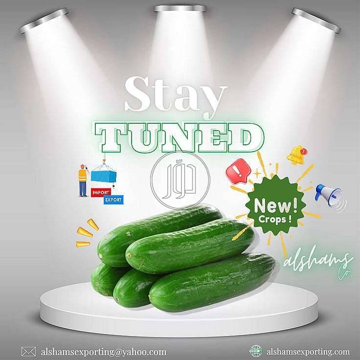 صور محاصيل وبذور زراعية في الامارات - دوّر.كوم