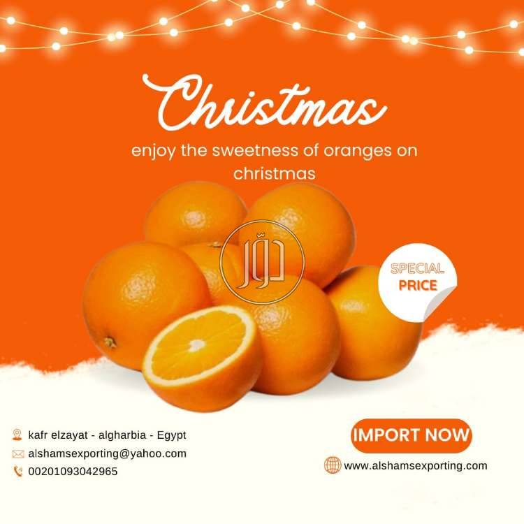 صور محاصيل وبذور زراعية في الامارات - دوّر.كوم