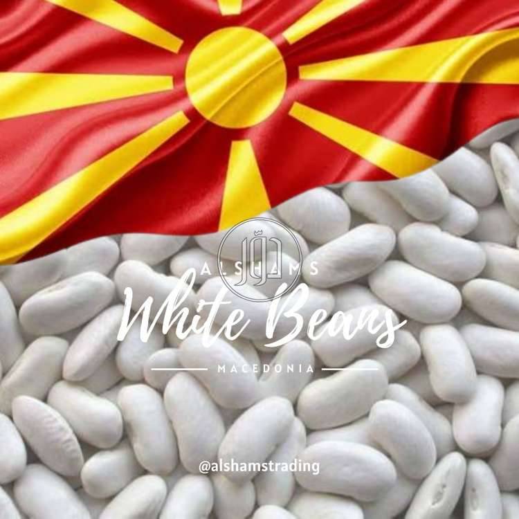 صور محاصيل وبذور زراعية في الامارات - دوّر.كوم