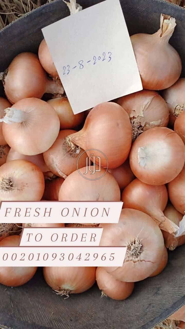 صور محاصيل وبذور زراعية في الامارات - دوّر.كوم