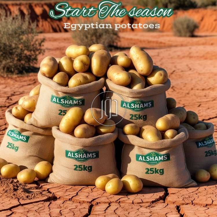 صور محاصيل وبذور زراعية في الامارات - دوّر.كوم