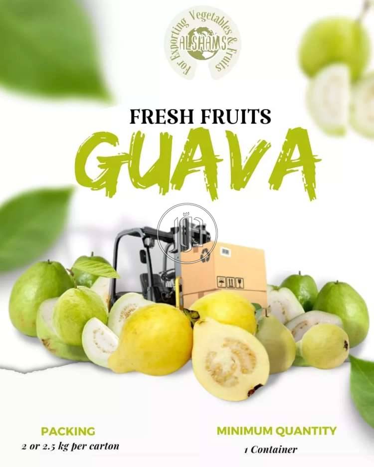 صور محاصيل وبذور زراعية في الامارات - دوّر.كوم