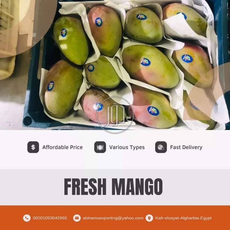 صور محاصيل وبذور زراعية في الامارات - دوّر.كوم