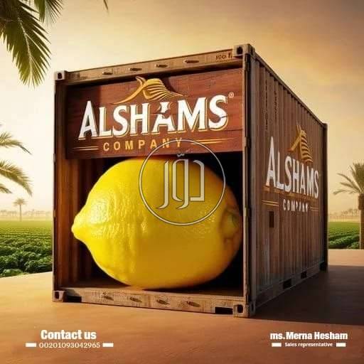 صور محاصيل وبذور زراعية في الامارات - دوّر.كوم