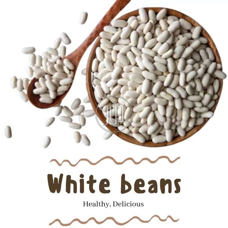 صور محاصيل وبذور زراعية في الامارات - دوّر.كوم