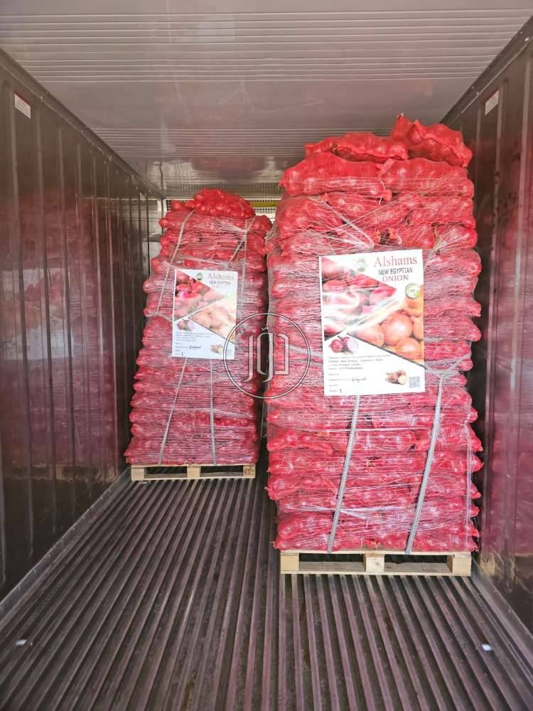 صور محاصيل وبذور زراعية في الامارات - دوّر.كوم