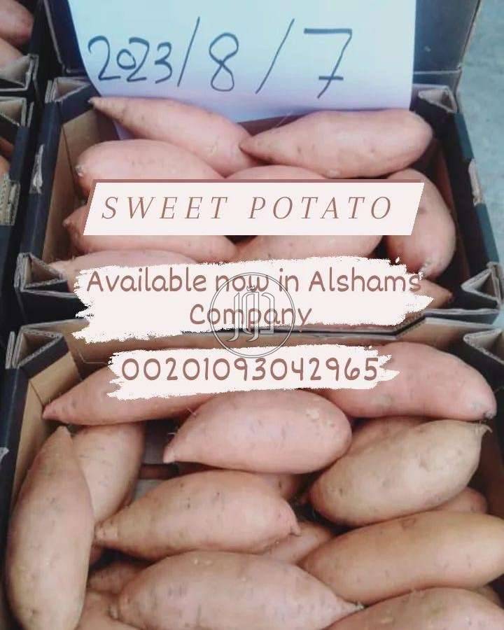 صور محاصيل وبذور زراعية في الامارات - دوّر.كوم