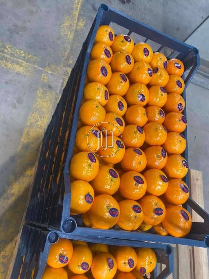 الموركت الطازج - محاصيل وبذور زراعية في الامارات بالكامل