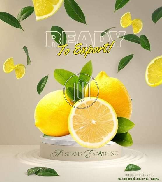 صور محاصيل وبذور زراعية في الامارات - دوّر.كوم