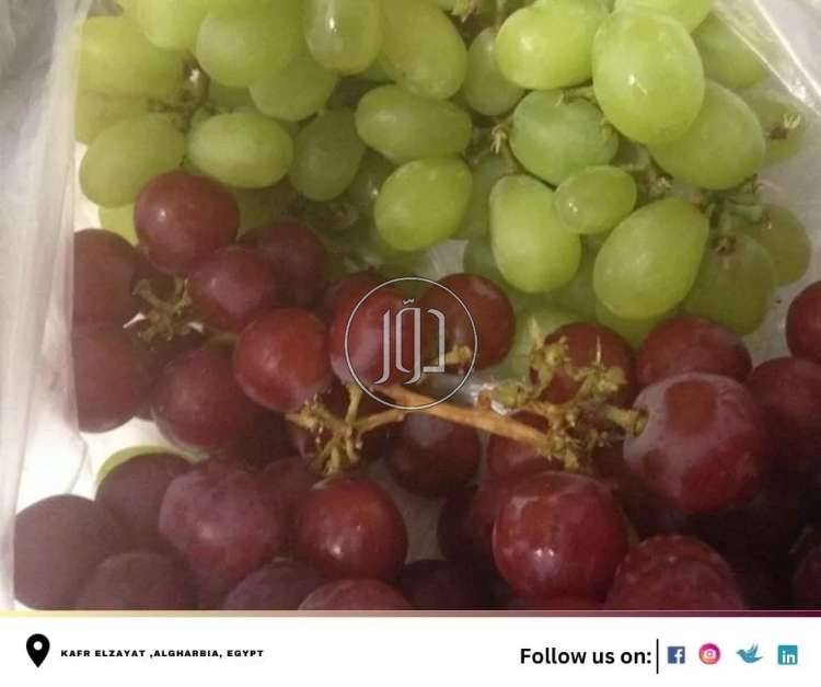 صور محاصيل وبذور زراعية في الامارات - دوّر.كوم