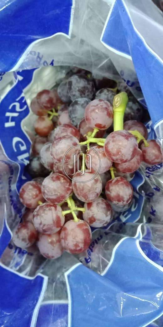 صور محاصيل وبذور زراعية في الامارات - دوّر.كوم