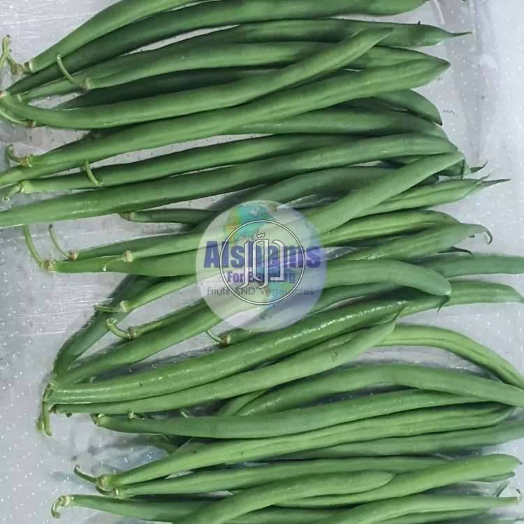 صور محاصيل وبذور زراعية في الامارات - دوّر.كوم