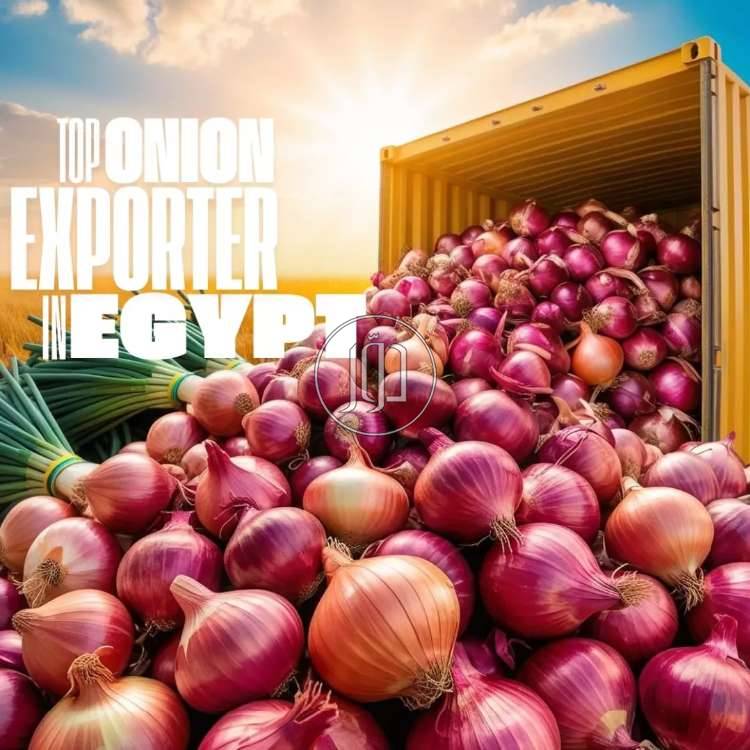 صور محاصيل وبذور زراعية في الامارات - دوّر.كوم