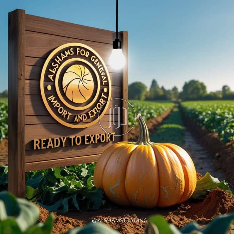 صور محاصيل وبذور زراعية في الامارات - دوّر.كوم