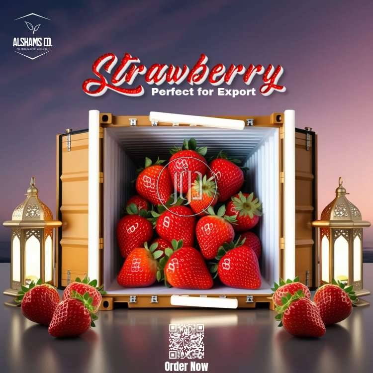 صور محاصيل وبذور زراعية في الامارات - دوّر.كوم