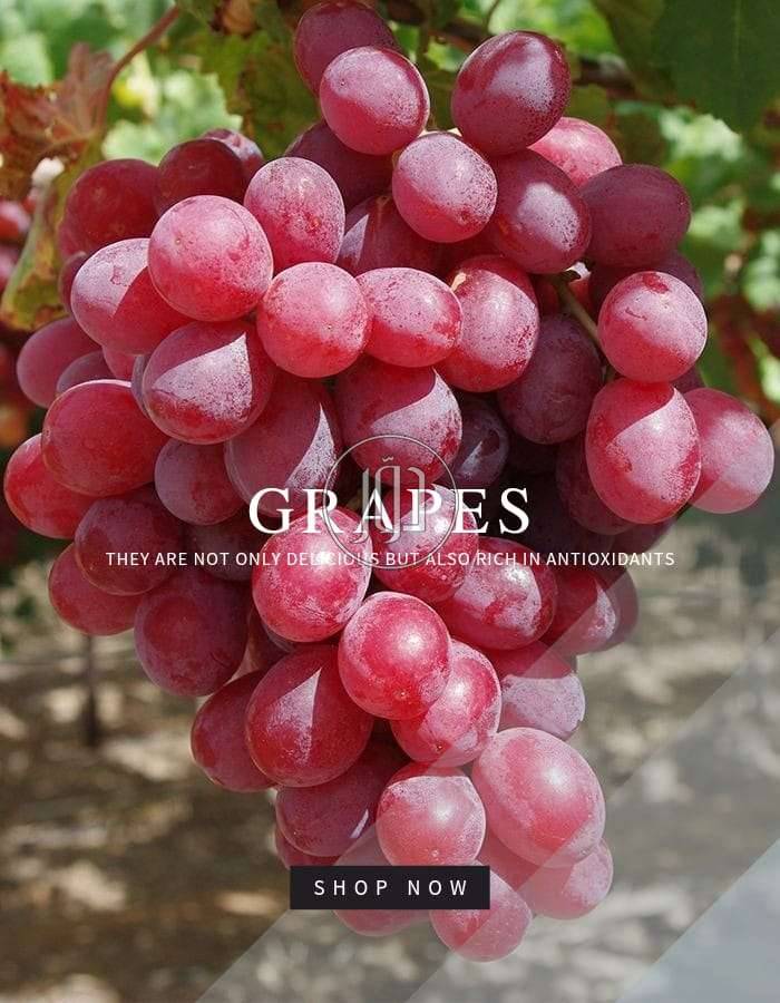 صور محاصيل وبذور زراعية في الامارات - دوّر.كوم