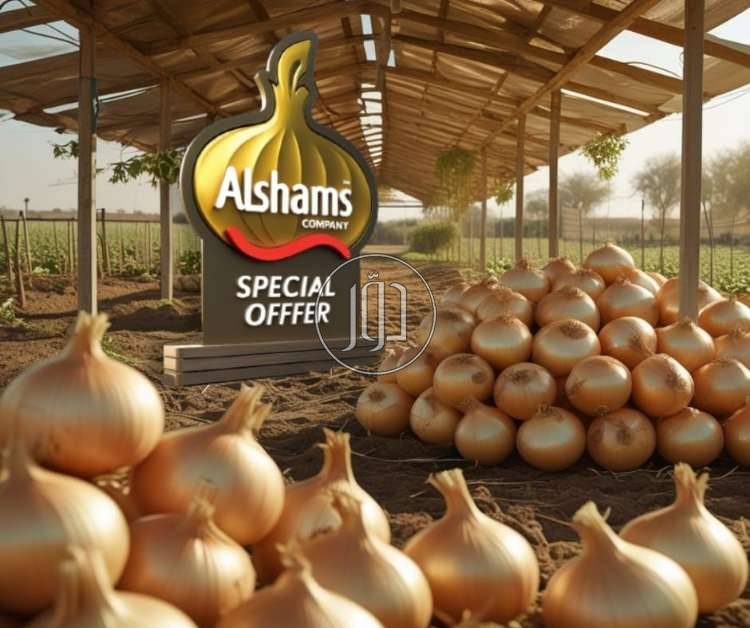 صور محاصيل وبذور زراعية في الامارات - دوّر.كوم