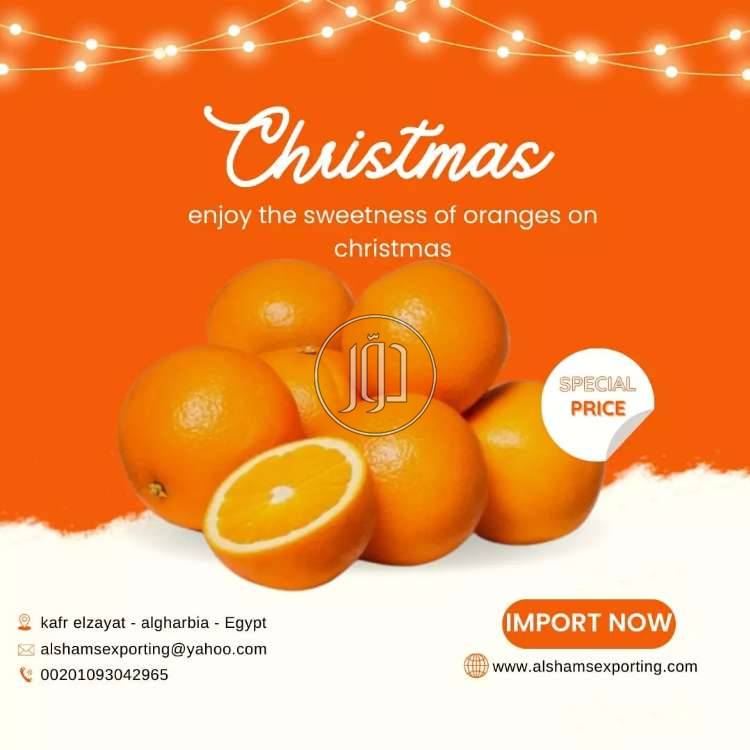 صور محاصيل وبذور زراعية في الامارات - دوّر.كوم