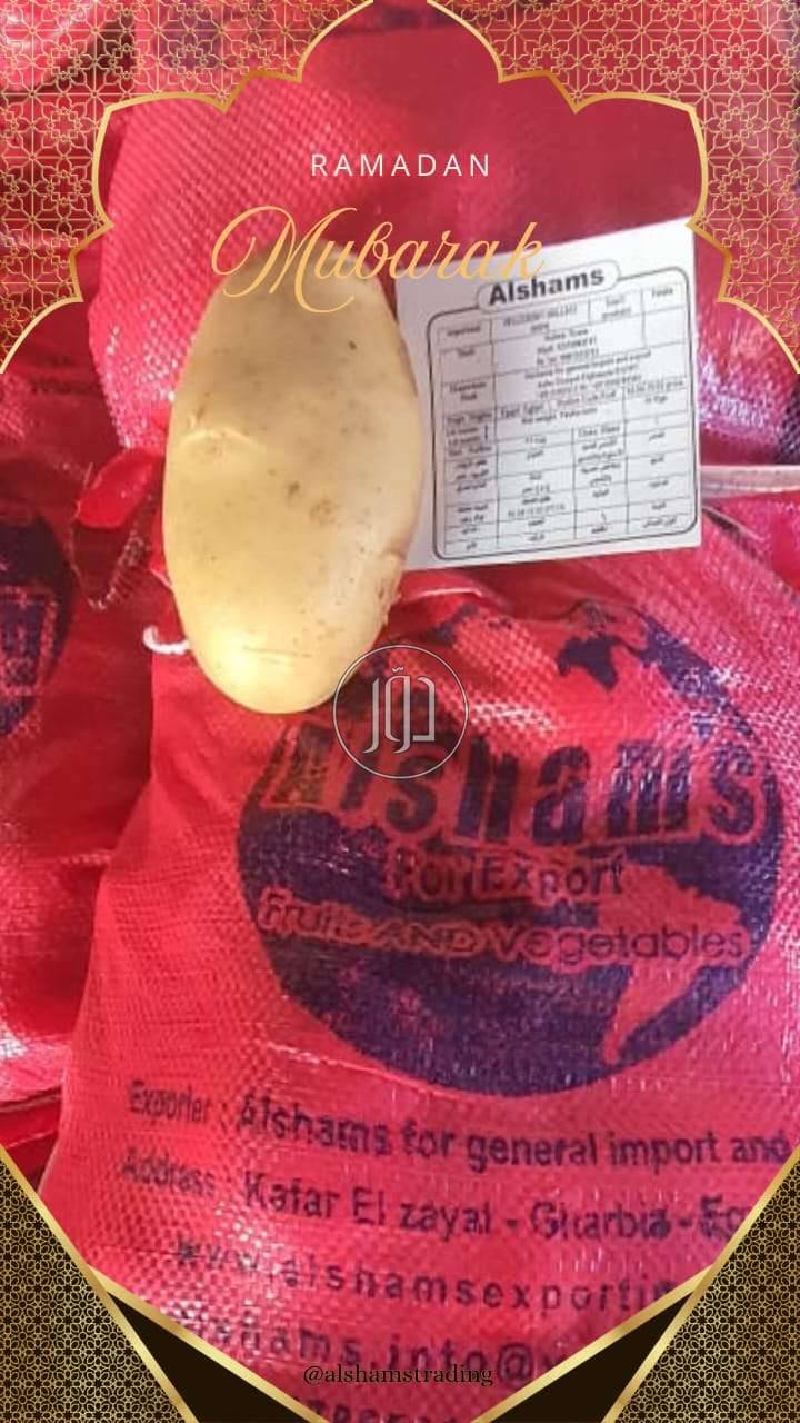 صور محاصيل وبذور زراعية في الامارات - دوّر.كوم