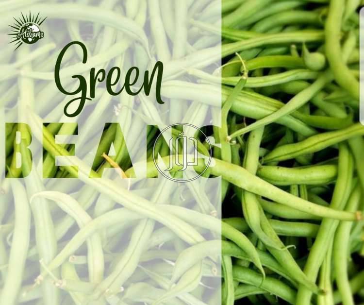 صور محاصيل وبذور زراعية في الامارات - دوّر.كوم