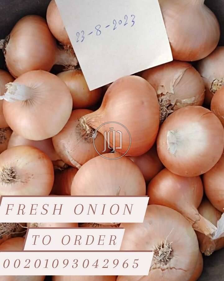 صور محاصيل وبذور زراعية في الامارات - دوّر.كوم