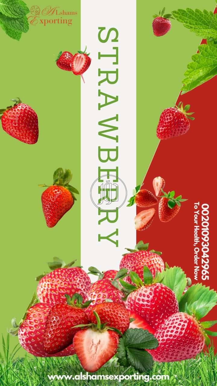 صور محاصيل وبذور زراعية في الامارات - دوّر.كوم