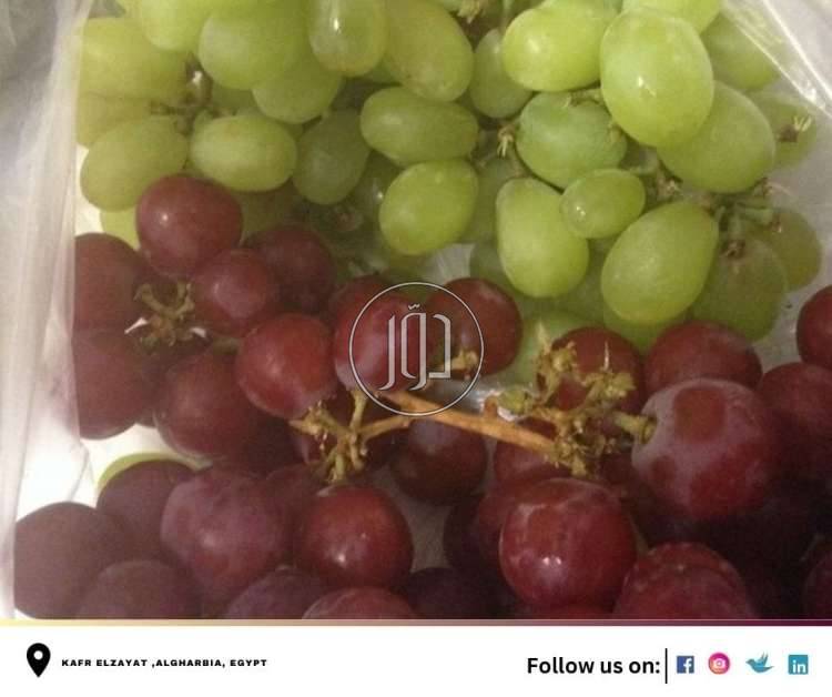 صور محاصيل وبذور زراعية في الامارات - دوّر.كوم