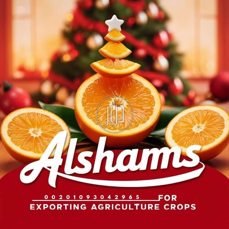 صور محاصيل وبذور زراعية في الامارات - دوّر.كوم