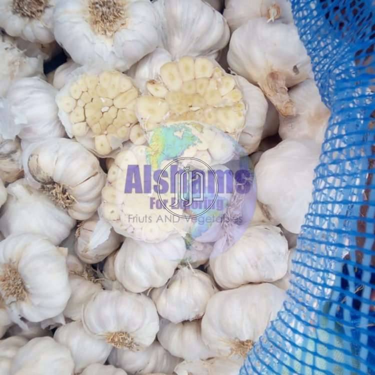 صور محاصيل وبذور زراعية في الامارات - دوّر.كوم