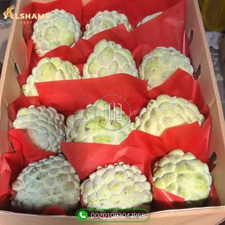 صور محاصيل وبذور زراعية في الامارات - دوّر.كوم