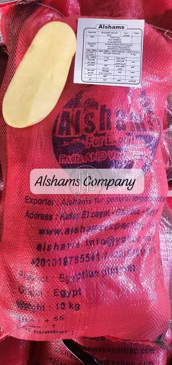 صور محاصيل وبذور زراعية في الامارات - دوّر.كوم